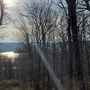 Meet your Posher, Sherrie